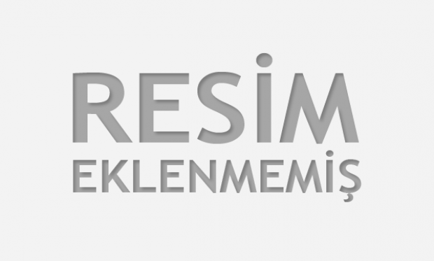 Modellerin Başarısı